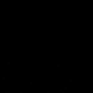 Meet your Posher, Emmaaa